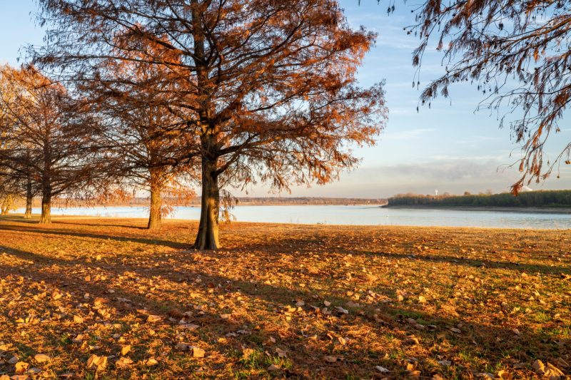 Midwest Towns That Actually Have Four Seasons of Fun